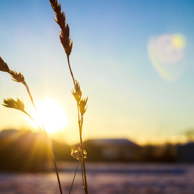 Natur